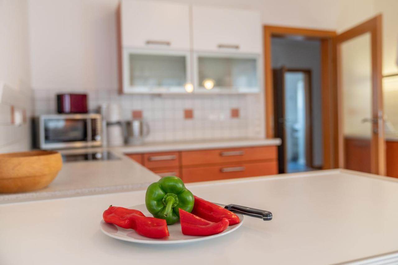 Appartementhaus Steirergasse By Schladming-Appartements エクステリア 写真